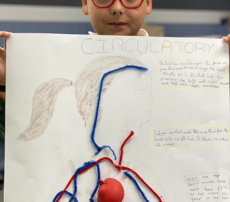 Pasen y vean: ¡El cuerpo humano!