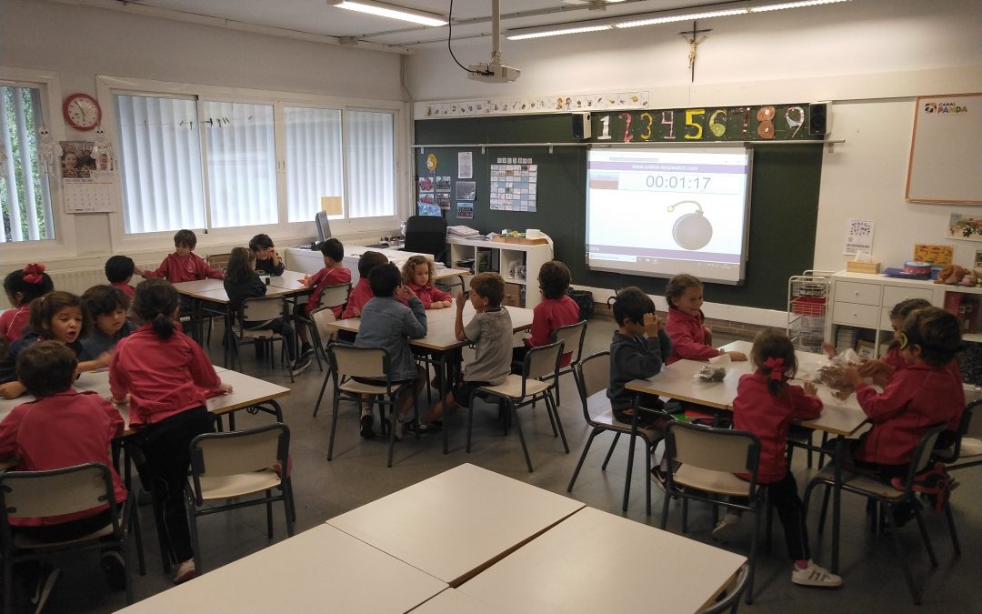 Finalización del proyecto: «The five senses»