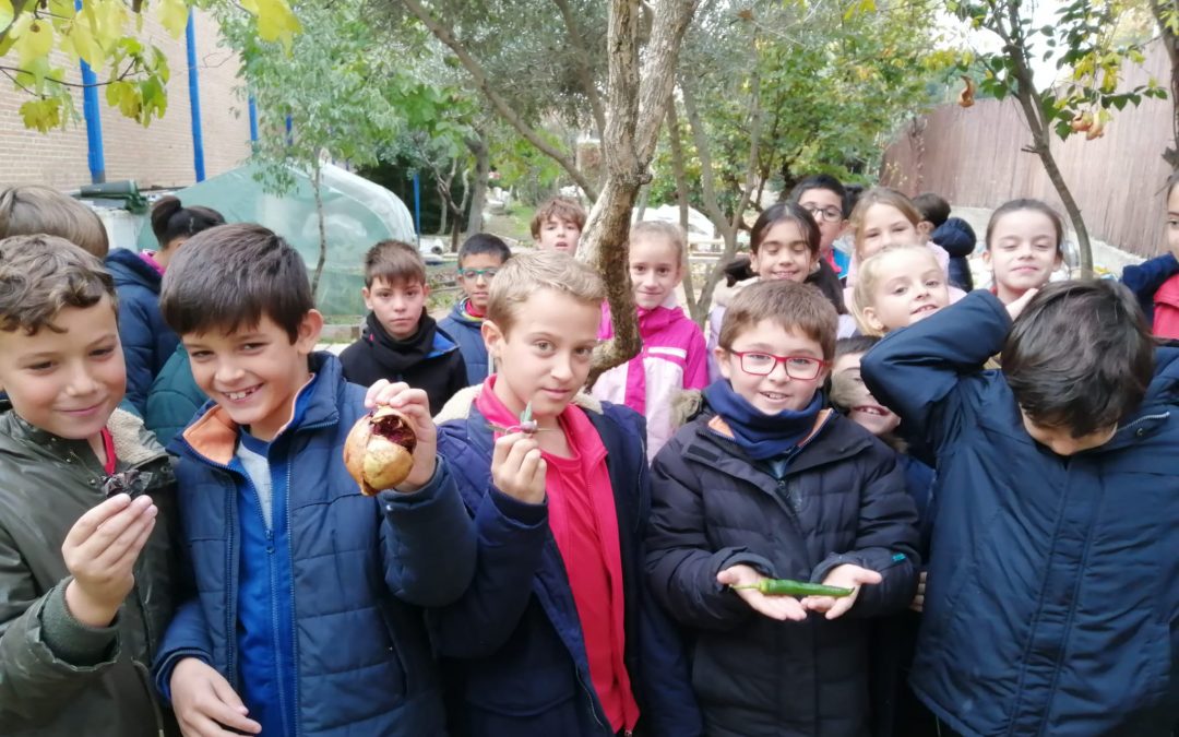 ¡Visitamos el huerto!