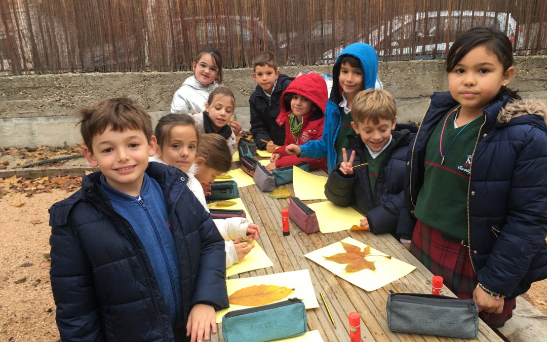 Visita al huerto escolar