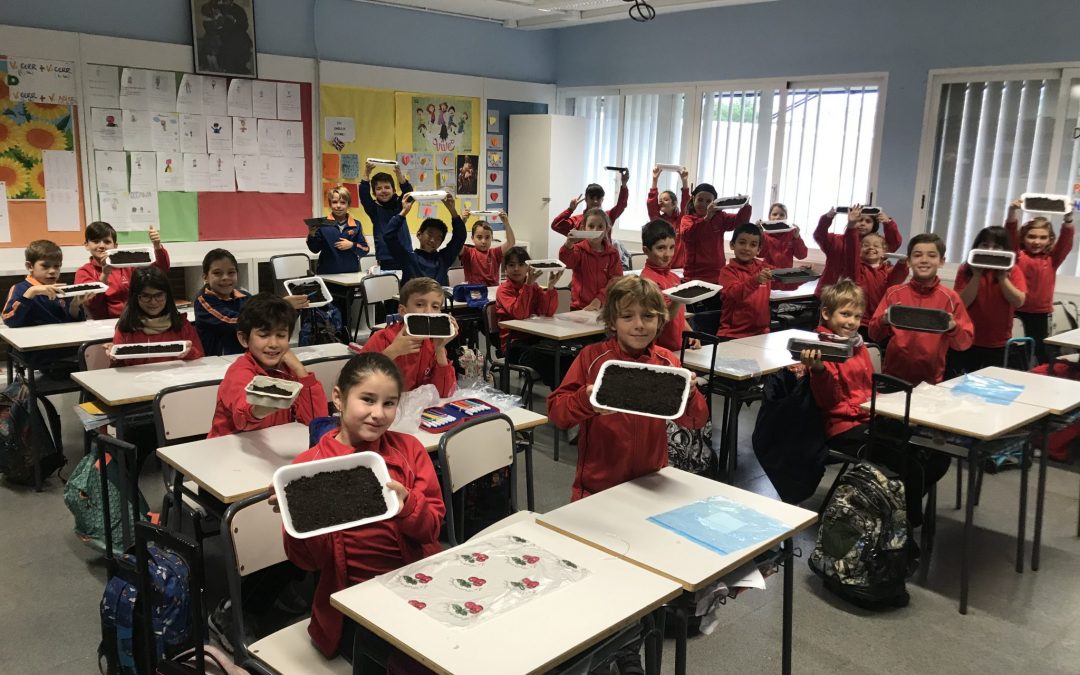 ¡A plantar tomates!