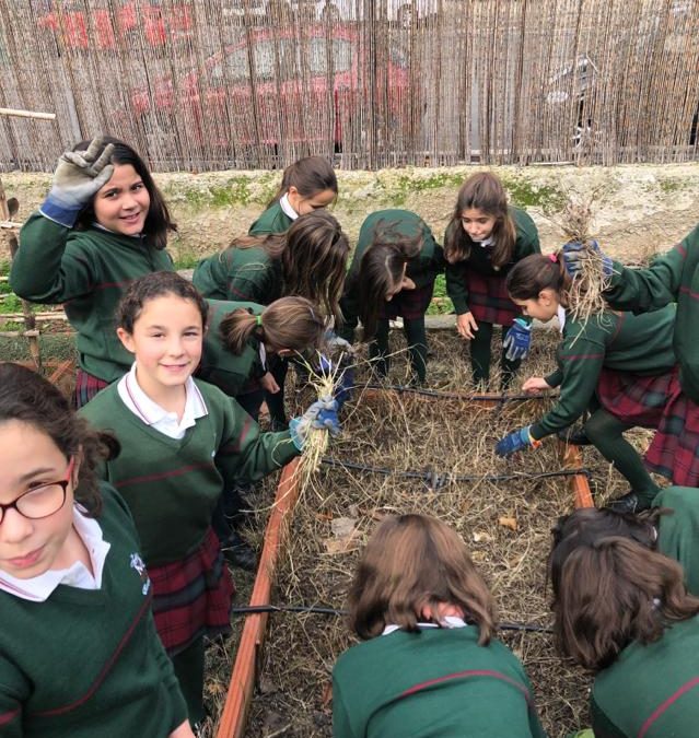 Experiencia en el huerto