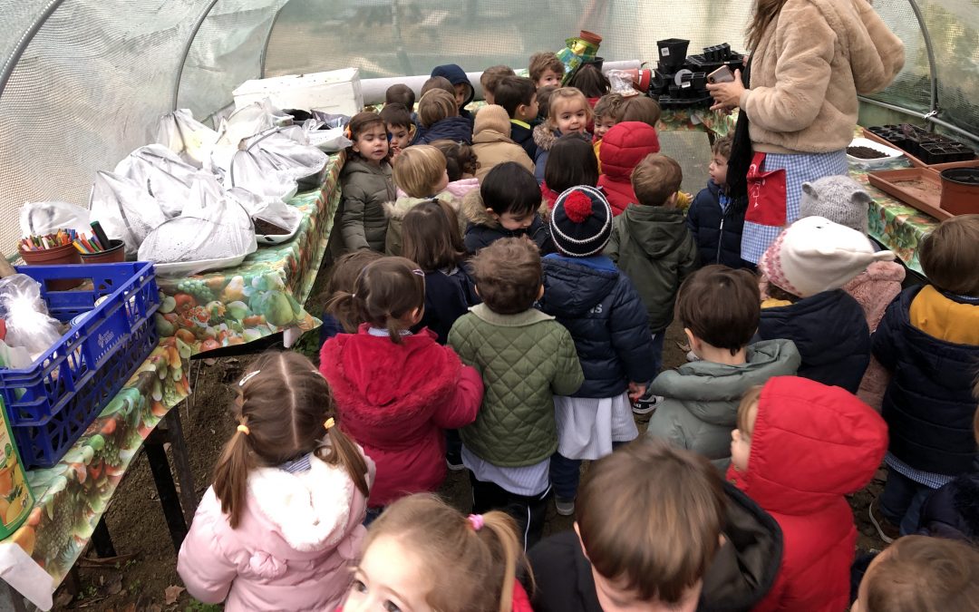 Entre cultivo y cultivo…