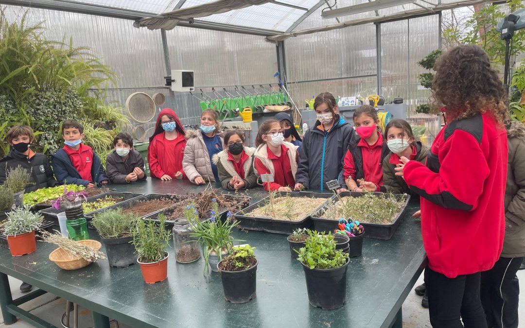 Aula de la Naturaleza con 4º A