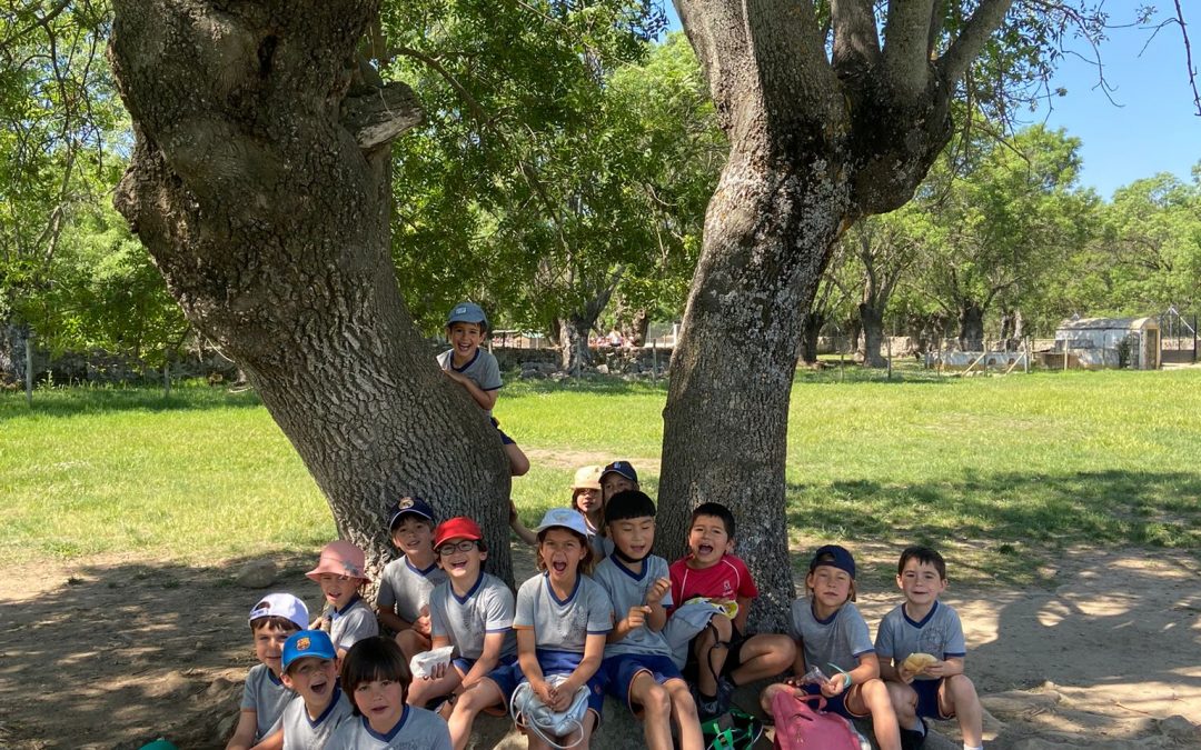 Granja Naturescorial