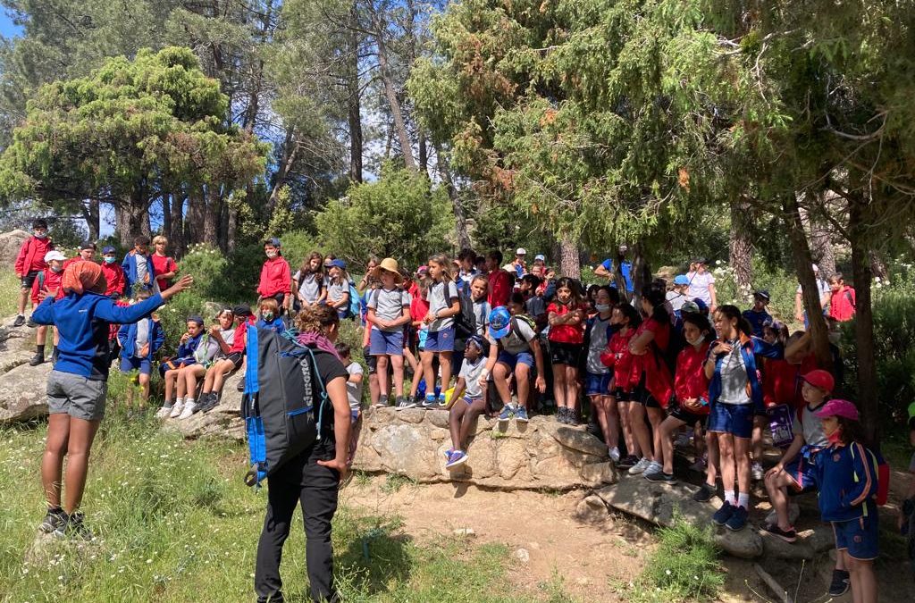 Excursión a la Pedriza