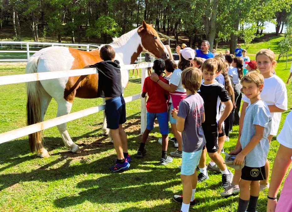 Tres días en la Granja