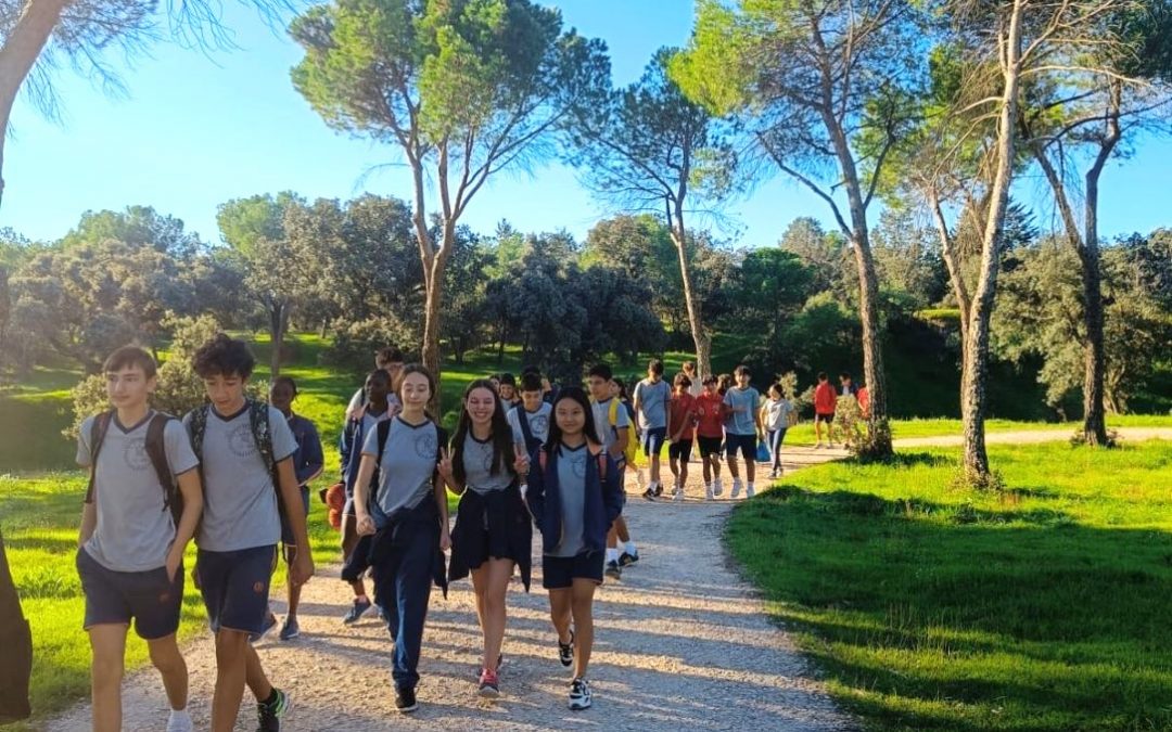 Convivencias Comienzo Curso